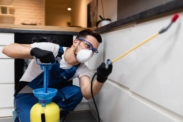 Best Affordable Pest Control Services  in Danville, VA