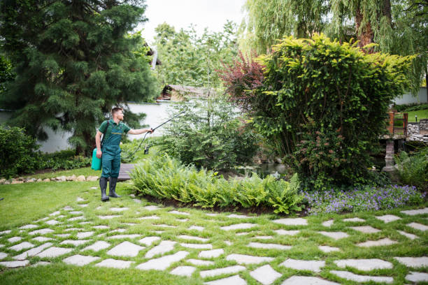 Best Affordable Pest Control Services  in Danville, VA