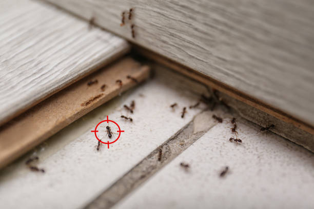 Best Exterminator Services  in Danville, VA