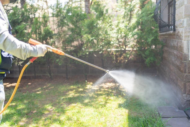 Best Termite Control Services  in Danville, VA