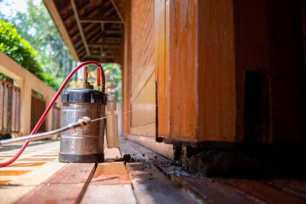 Best Local Pest Control Services  in Danville, VA