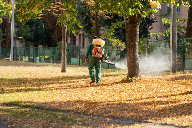 Best Pest Inspection Near Me  in Danville, VA