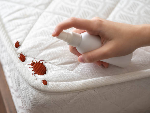 Best Exterminator Services  in Danville, VA